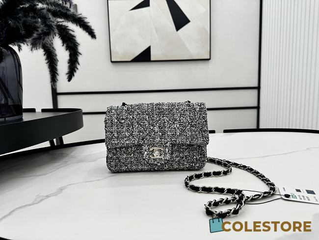 Chanel Classic Flap Bag Tweed Grey 20cm - 1