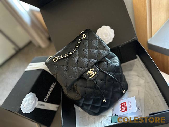 Chanel 23P Duma Backpack 25cm - 1