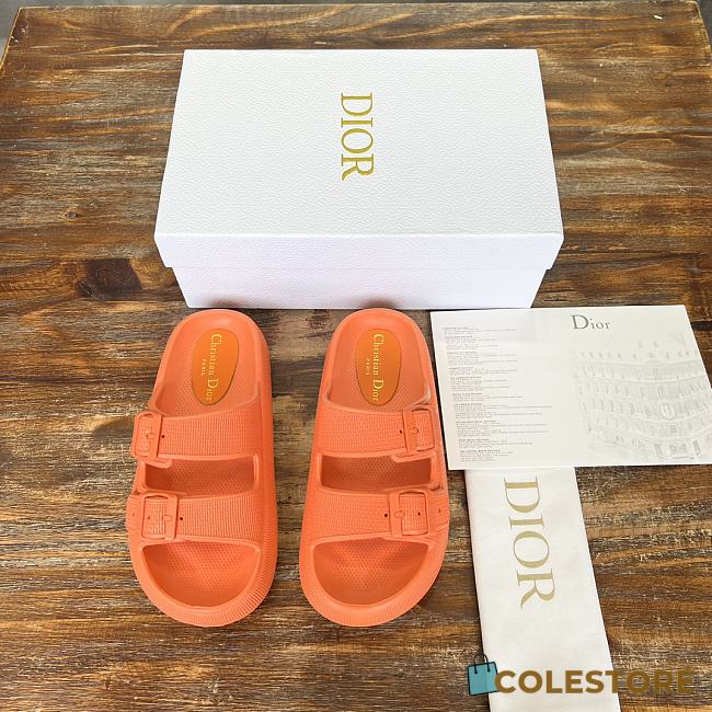 Dior 24SS Summer Beach Slippers Orange - 1