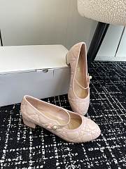 Dior Ballet Flat Light Pink Quilted Cannage Calfskin - 4
