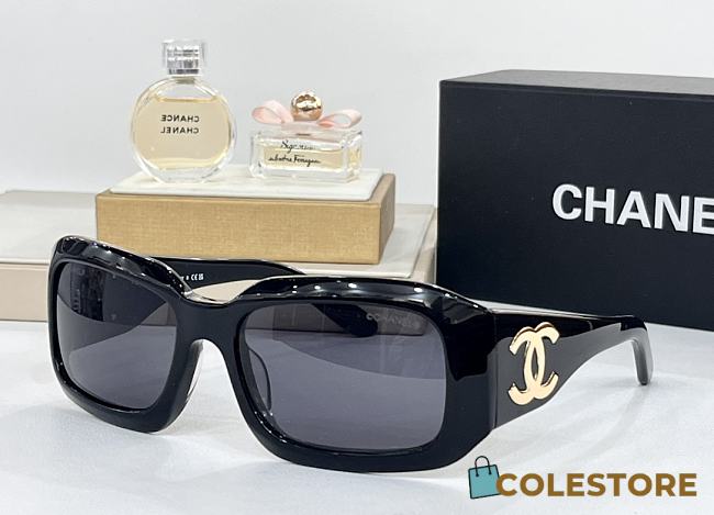 Chanel Glasses 06925  - 1