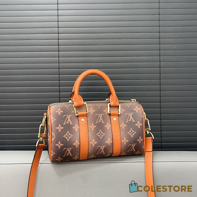 Louis Vuitton KeepAll 25 Bag M46271 15 x 25 cm - 1