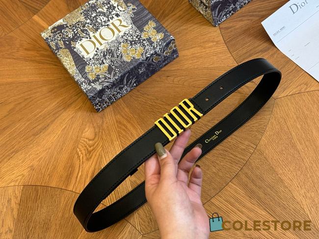 Dior Belt Black  - 1