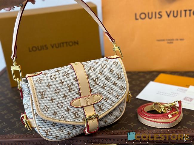 Louis Vuitton Saumur BB Bag Other Monogram Canvas 20 x 14 cm  - 1