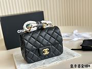 Chanel Mini Flap Bag Black 20 cm  - 1