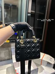 Dior Lady Black 20 cm - 2