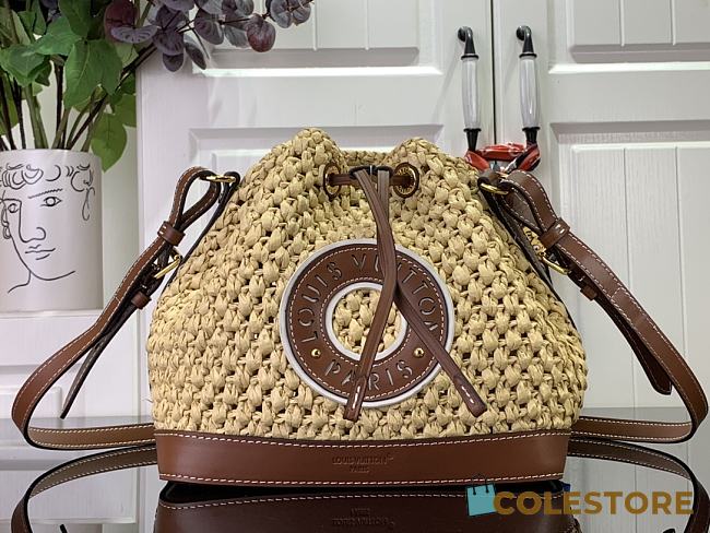 Louis Vuitton Raffia Bucket Bag 22 x 24 x 15cm - 1