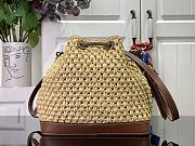 Louis Vuitton Raffia Bucket Bag 22 x 24 x 15cm - 4
