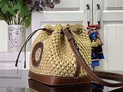 Louis Vuitton Raffia Bucket Bag 22 x 24 x 15cm - 3