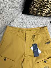 Dior And Stone 24SS Yellow Short - 3