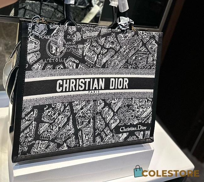 Christian Dior Book Tote 42 cm - 1