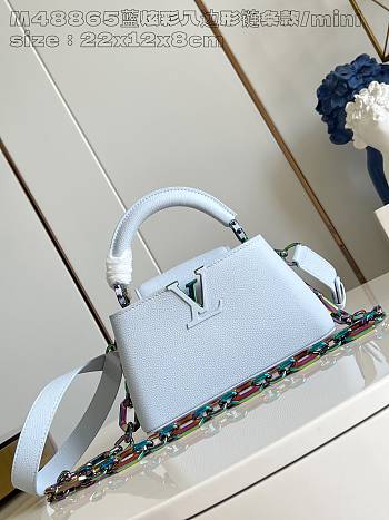 Louis Vuitton Capucines East-West 22-12-8 cm
