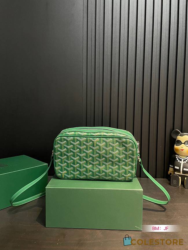 Goyard Cap-vert PM Bag Green 22 x 13 cm - 1