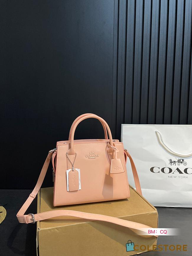 Coach Andrea Bag Beige 22 x 11 x 17 cm - 1
