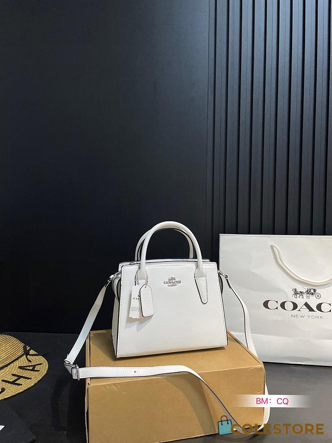 Coach Andrea Bag White 22 x 11 x 17 cm - 1