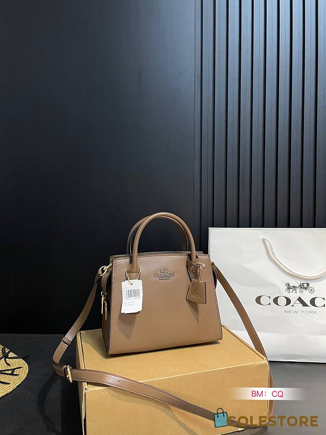 Coach Andrea Bag Brown 22 x 11 x 17 cm - 1