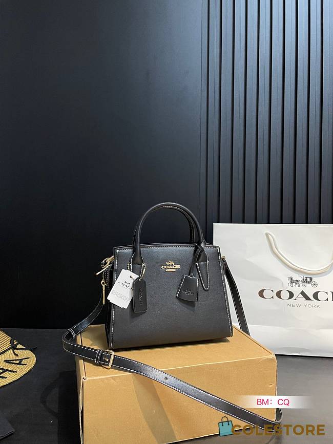 Coach Andrea Bag Black 22 x 11 x 17 cm - 1