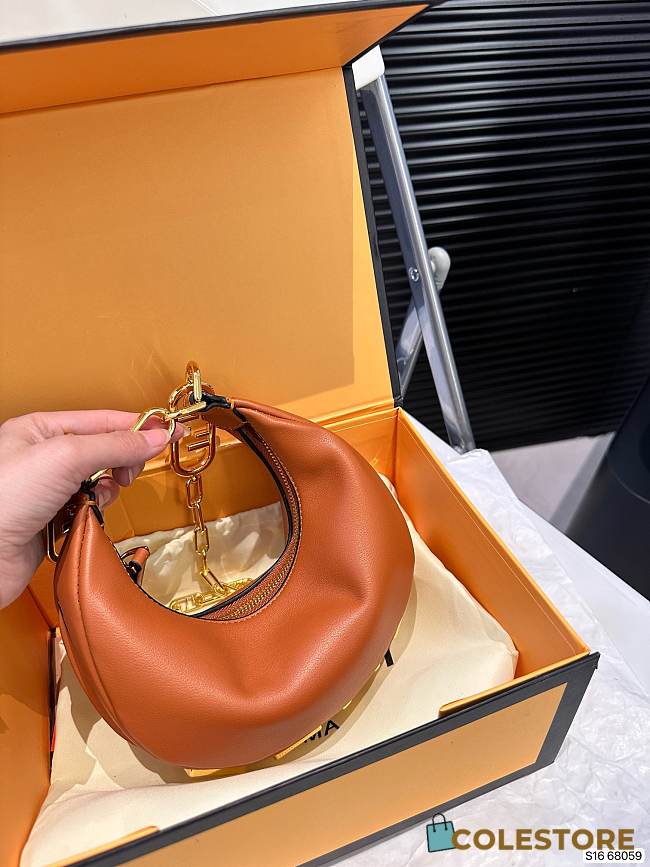 Fendi Graphy Brown Mini Bag 18 x 10 cm  - 1