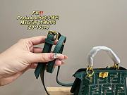 Fendi Peakaboo Green 20 x 15 cm - 4