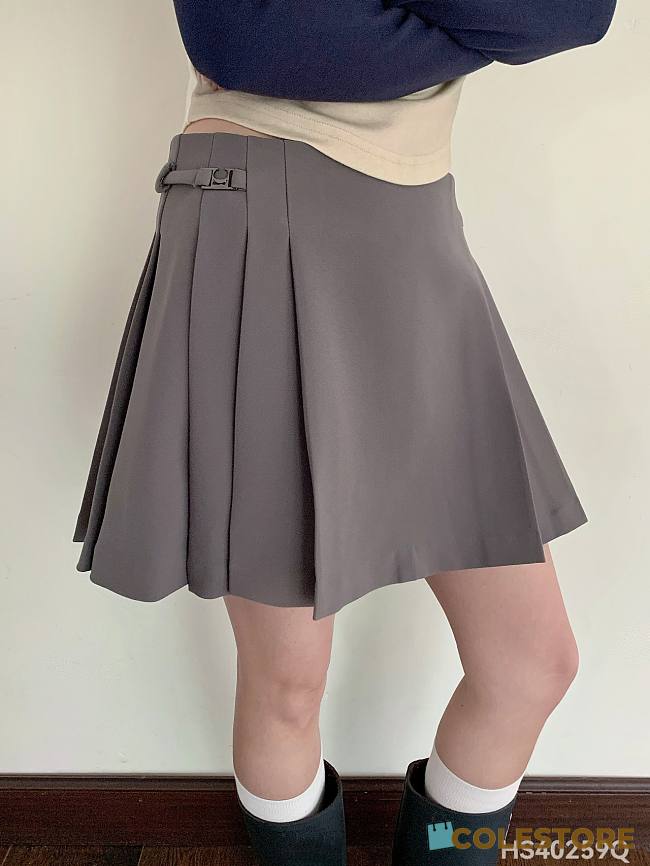 Grey Skirt  - 1