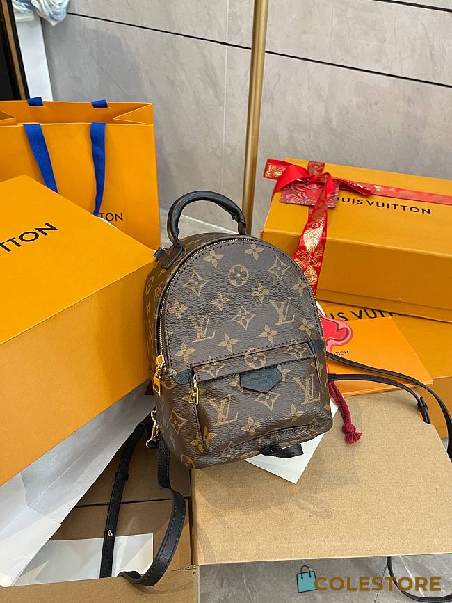 Louis Vuitton Palm Springs Backpack 17 x 22 x 10 cm - 1