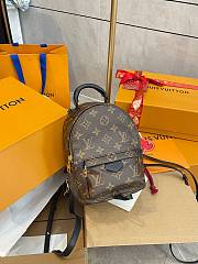 Louis Vuitton Palm Springs Backpack 17 x 22 x 10 cm - 1