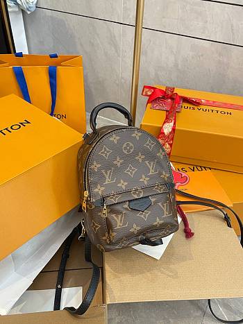 Louis Vuitton Palm Springs Backpack 17 x 22 x 10 cm