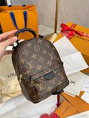 Louis Vuitton Palm Springs Backpack 17 x 22 x 10 cm - 4
