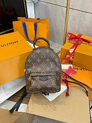 Louis Vuitton Palm Springs Backpack 17 x 22 x 10 cm - 3