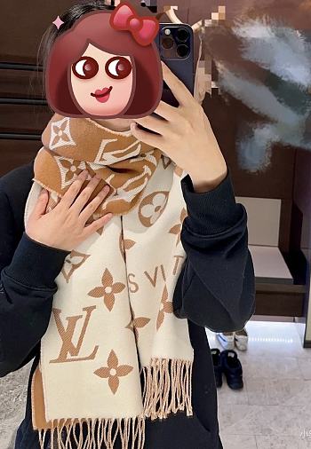 Louis Vuitton Brown Scarf