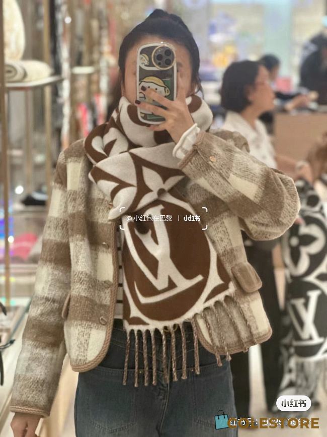 Louis Vuitton Big Logo Brown Scarf - 1