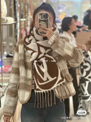 Louis Vuitton Big Logo Brown Scarf