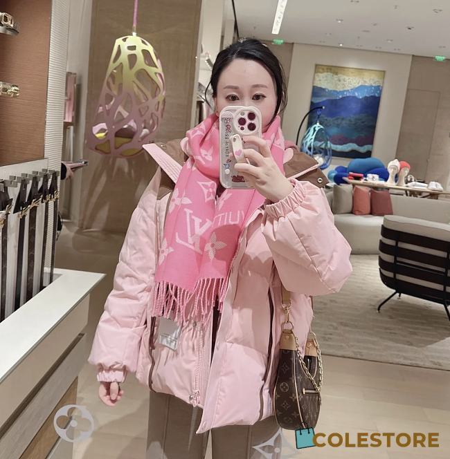 Louis Vuitton Pink Scarf - 1