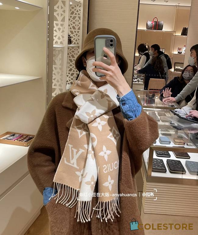 Louis Vuitton Beige Scarf - 1