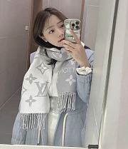 Louis Vuitton Grey Scarf - 1