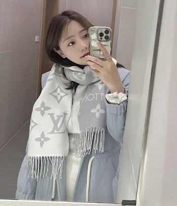 Louis Vuitton Grey Scarf