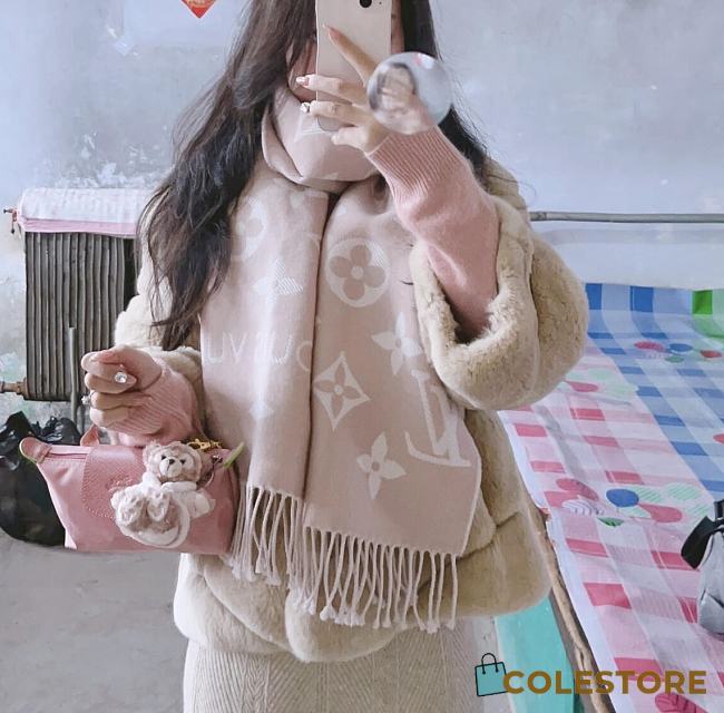 Louis Vuitton Light Beige Scarf - 1