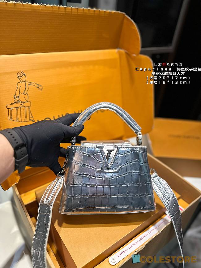 Louis Vuitton Capucines Silver 26 x 17 cm - 1