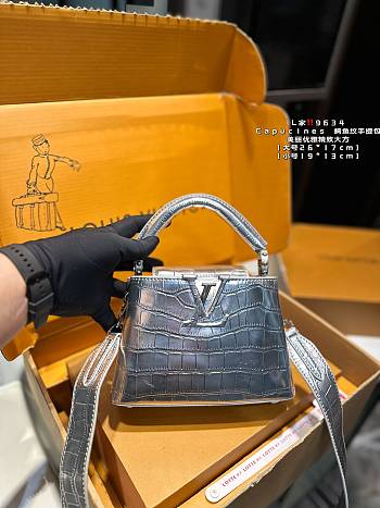 Louis Vuitton Capucines Silver 26 x 17 cm