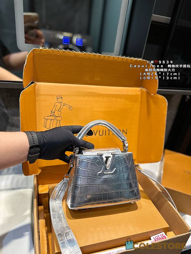 Louis Vuitton Mini Capucines Silver 19 x 13 cm - 1