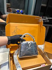 Louis Vuitton Mini Capucines Silver 19 x 13 cm - 4