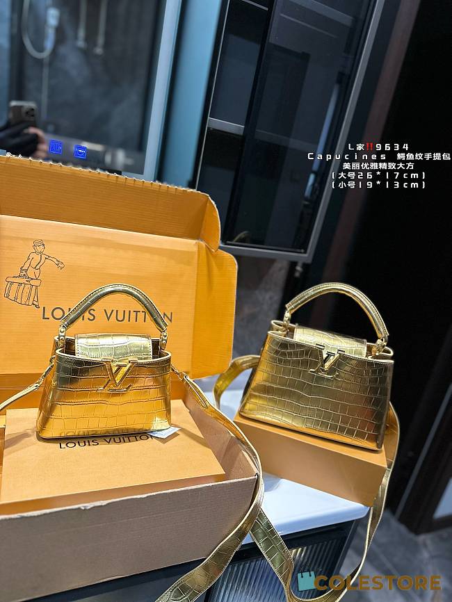 Louis Vuitton Capucines Gold 26 x 17 cm - 1
