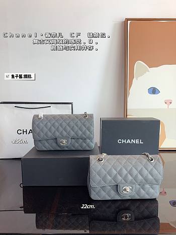 Chanel CF Flap Bag Grey 22 x 6 x 14 cm