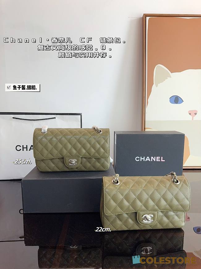 Chanel CF Flap Bag Green 25 x 6 x 14 cm - 1