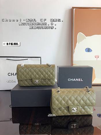 Chanel CF Flap Bag Green 25 x 6 x 14 cm