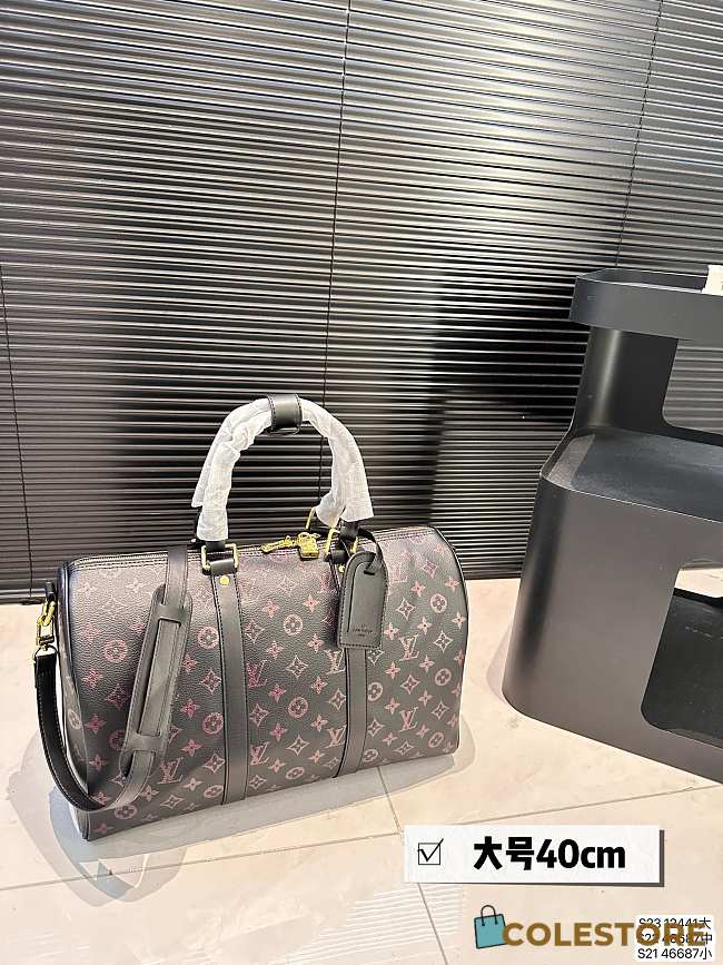 Louis Vuitton KeepAll 40 x 25 cm  - 1