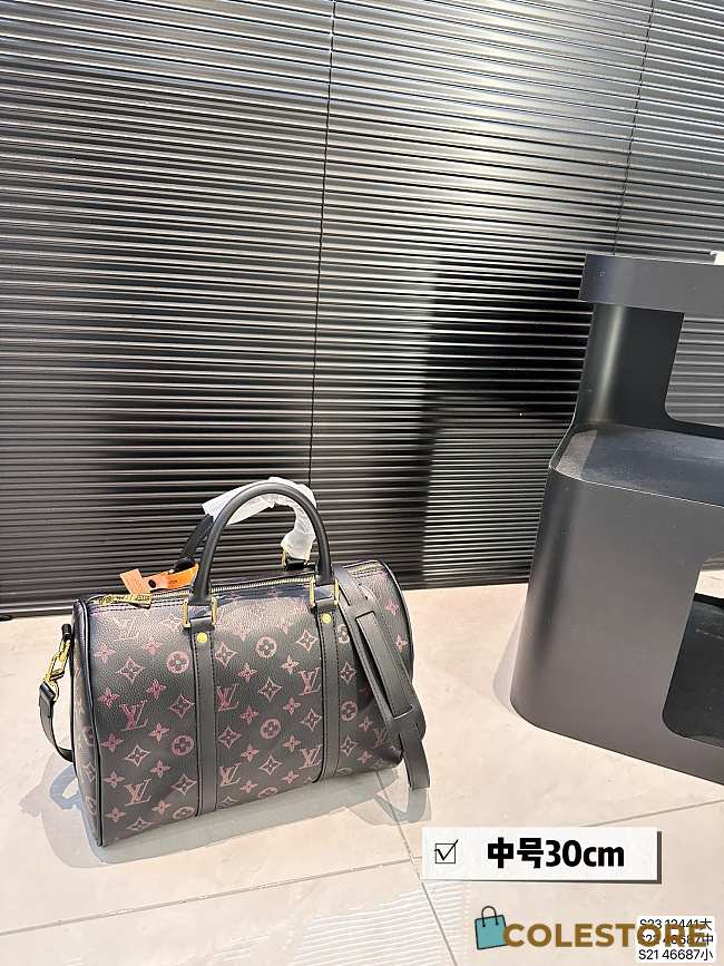 Louis Vuitton KeepAll 30 x 21 cm  - 1