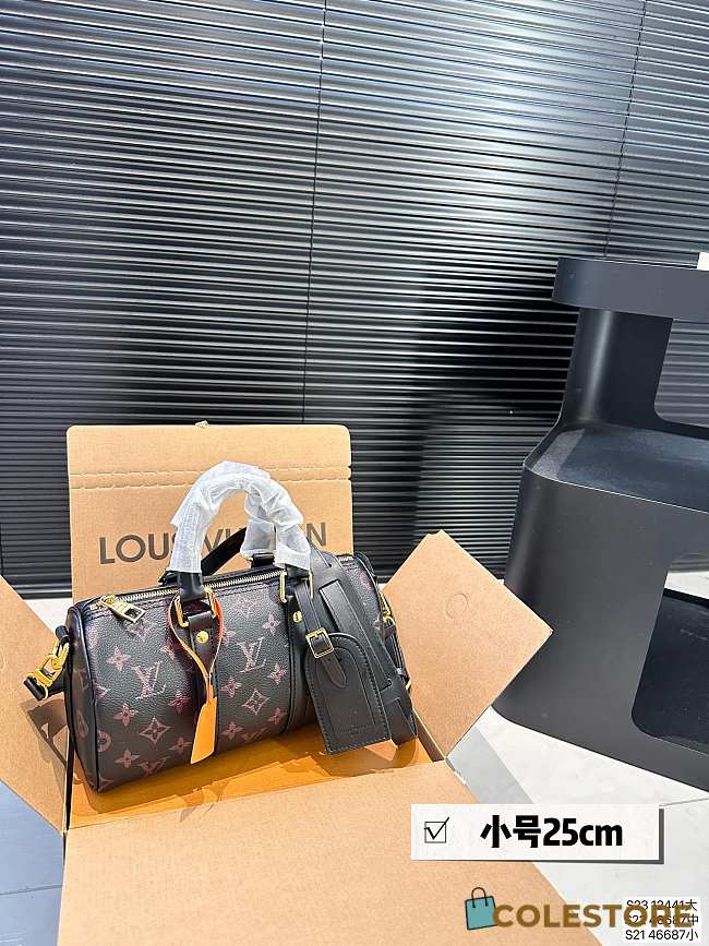 Louis Vuitton KeepAll 25 x 14 cm  - 1