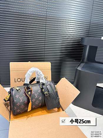 Louis Vuitton KeepAll 25 x 14 cm 