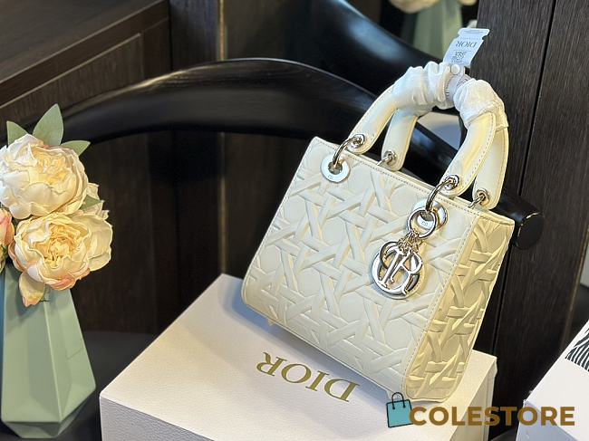 Dior D White 17 cm - 1